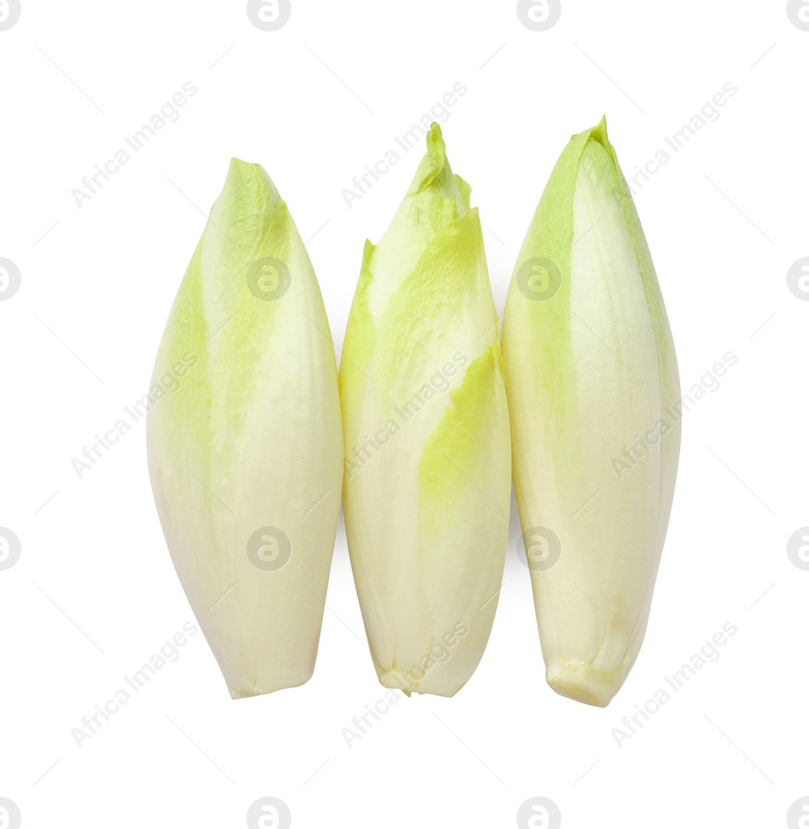 Photo of Raw ripe chicories on white background, top view