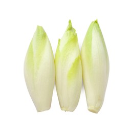 Photo of Raw ripe chicories on white background, top view