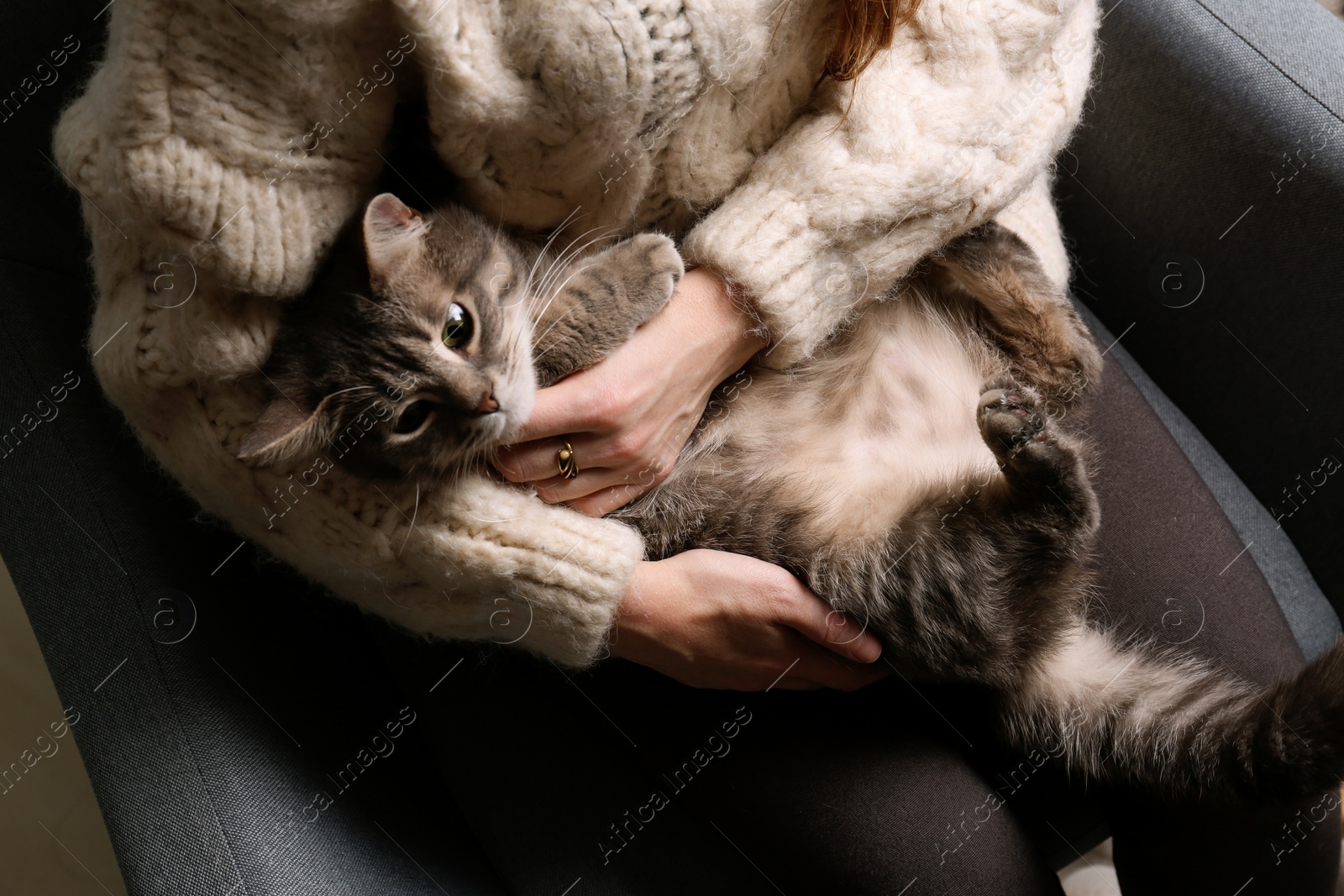 Photo of Woman in warm sweater with cute cat sitting in armchair, top view