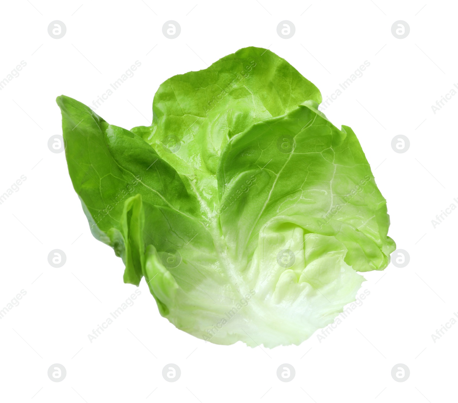 Photo of Fresh leaf of green butter lettuce isolated on white