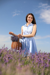 Young woman with wicker basket full of lavender flowers in field