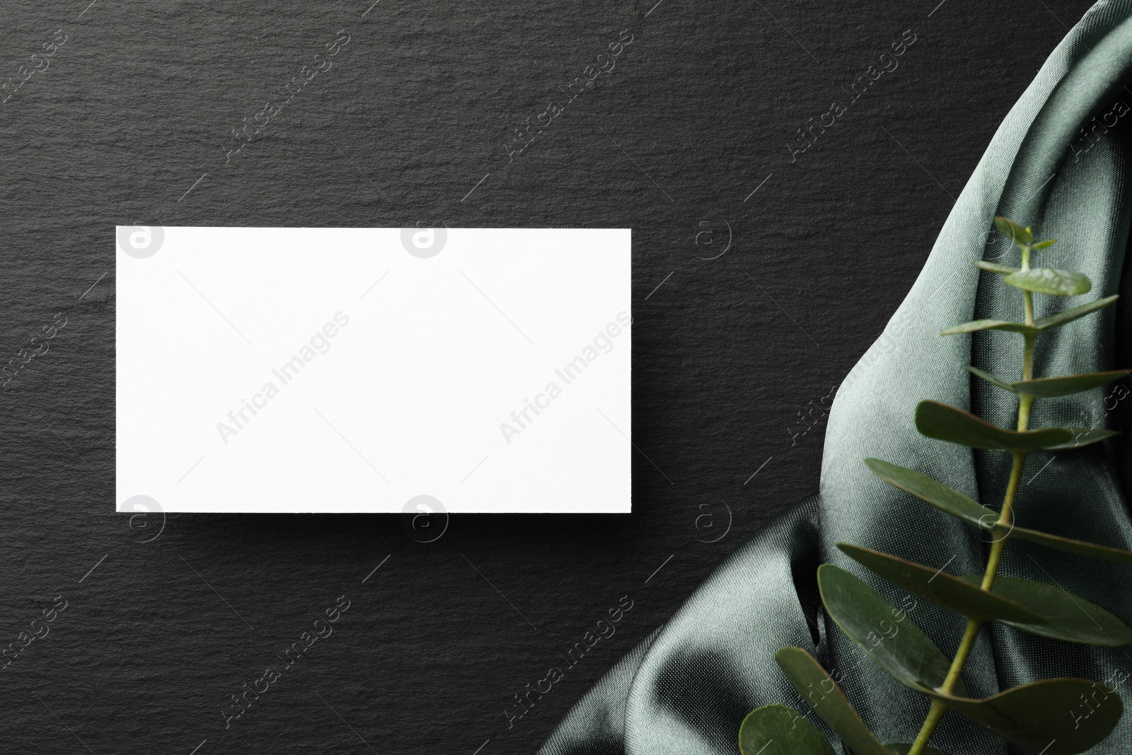 Photo of Blank business card and eucalyptus branch on black background, flat lay. Mockup for design