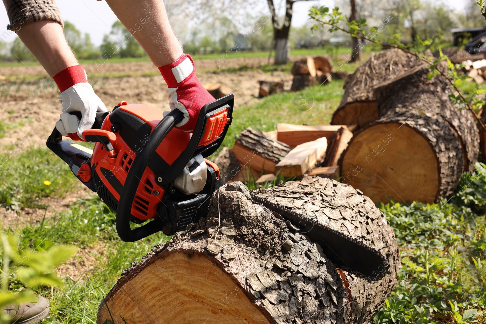 Photo of Man sawing wooden log on sunny day, closeup