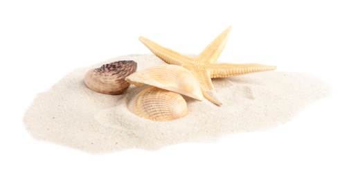 Pile of beach sand with beautiful starfish and sea shells on white background