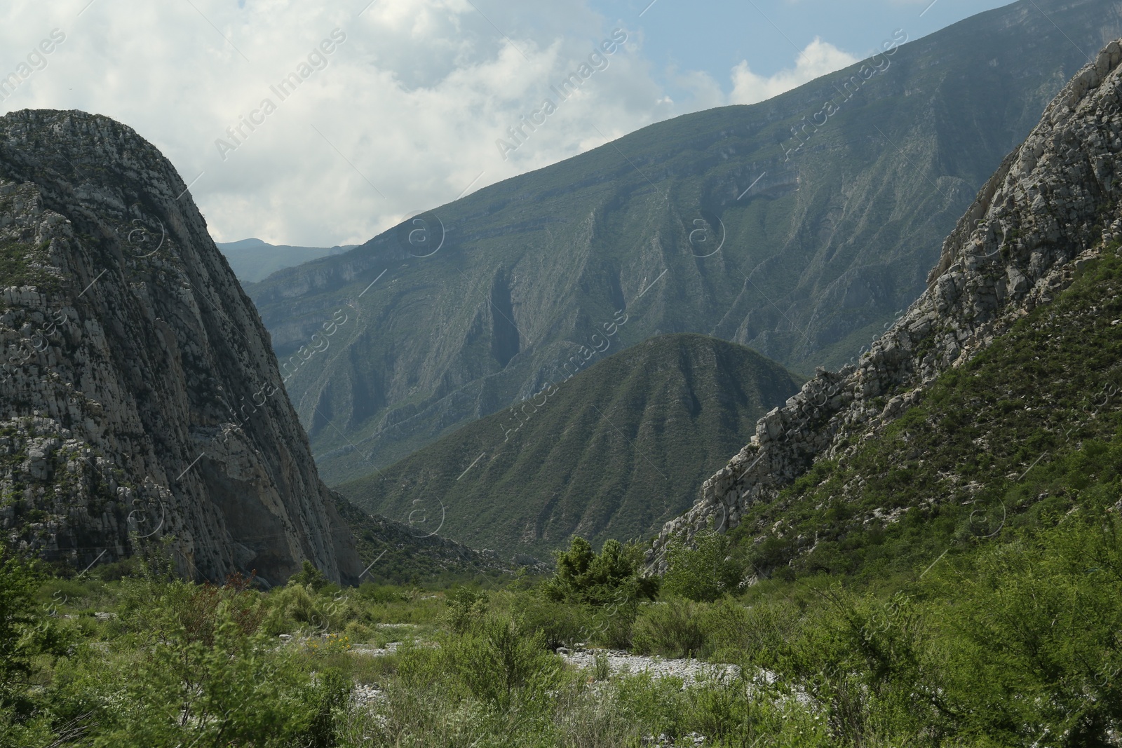 Photo of Picturesque view of beautiful mountains and plants under cloudy sky