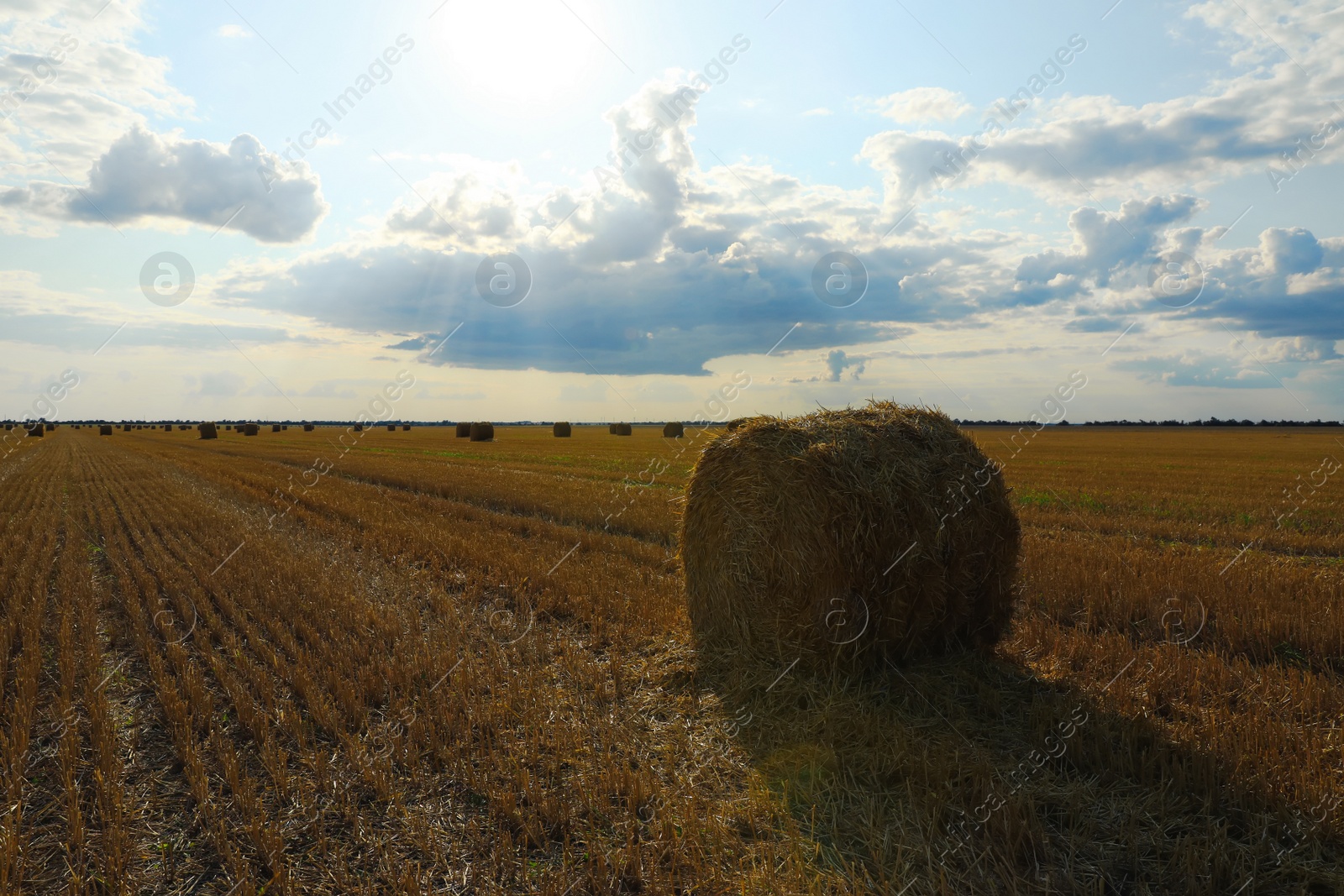 Photo of Beautiful view of agricultural field with hay bale