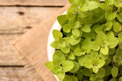 Photo of Aromatic oregano growing in pot on table, top view. Space for text