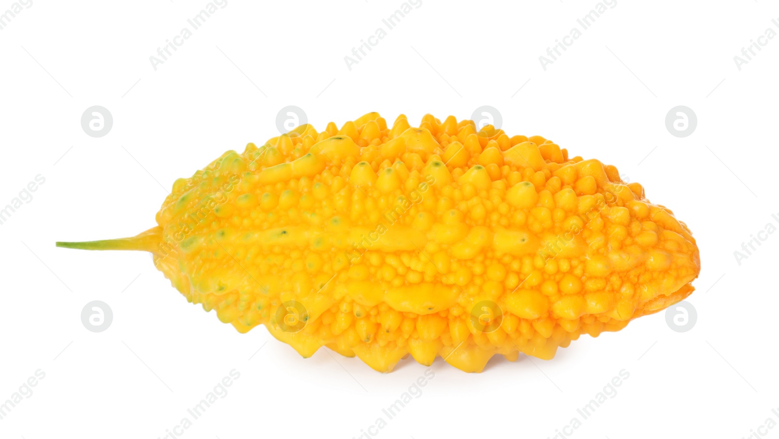 Photo of Fresh ripe bitter melon on white background