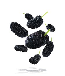 Image of Fresh ripe black mulberries falling on white background