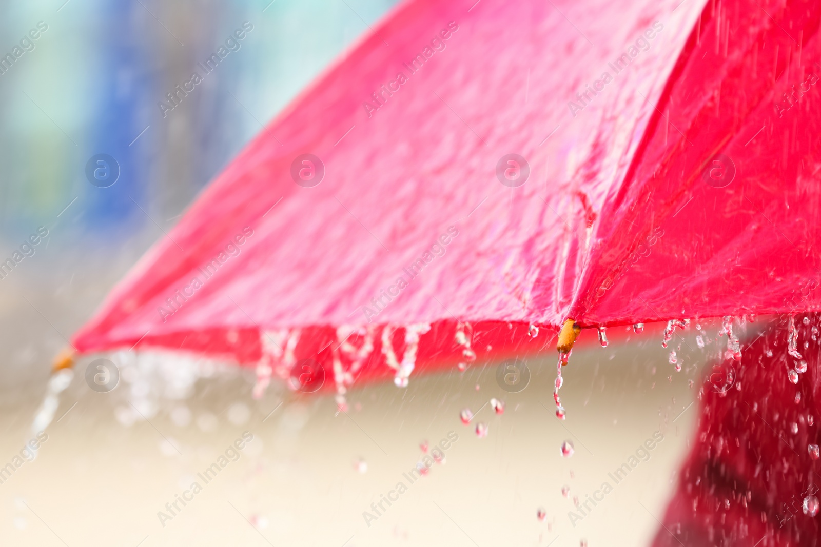 Photo of Bright color umbrella under rain outdoors, closeup