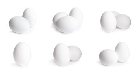 Set of fresh eggs on white background, banner design 