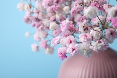 Photo of Beautiful dyed gypsophila flowers in pink vase on light blue background, closeup