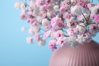 Beautiful dyed gypsophila flowers in pink vase on light blue background, closeup