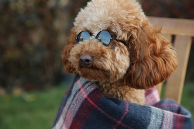Photo of Cute fluffy dog with sunglasses wrapped in blanket outdoors