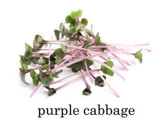 Image of Heap of fresh organic microgreen on white background