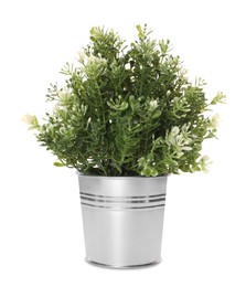 Photo of Artificial potted thyme on white background. Home decor