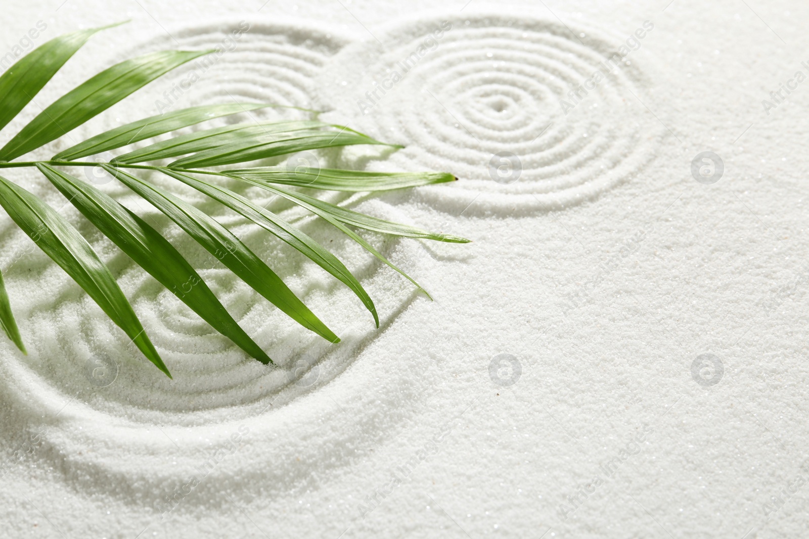 Photo of Zen rock garden. Circle patterns on white sand and green leaf, closeup. Space for text