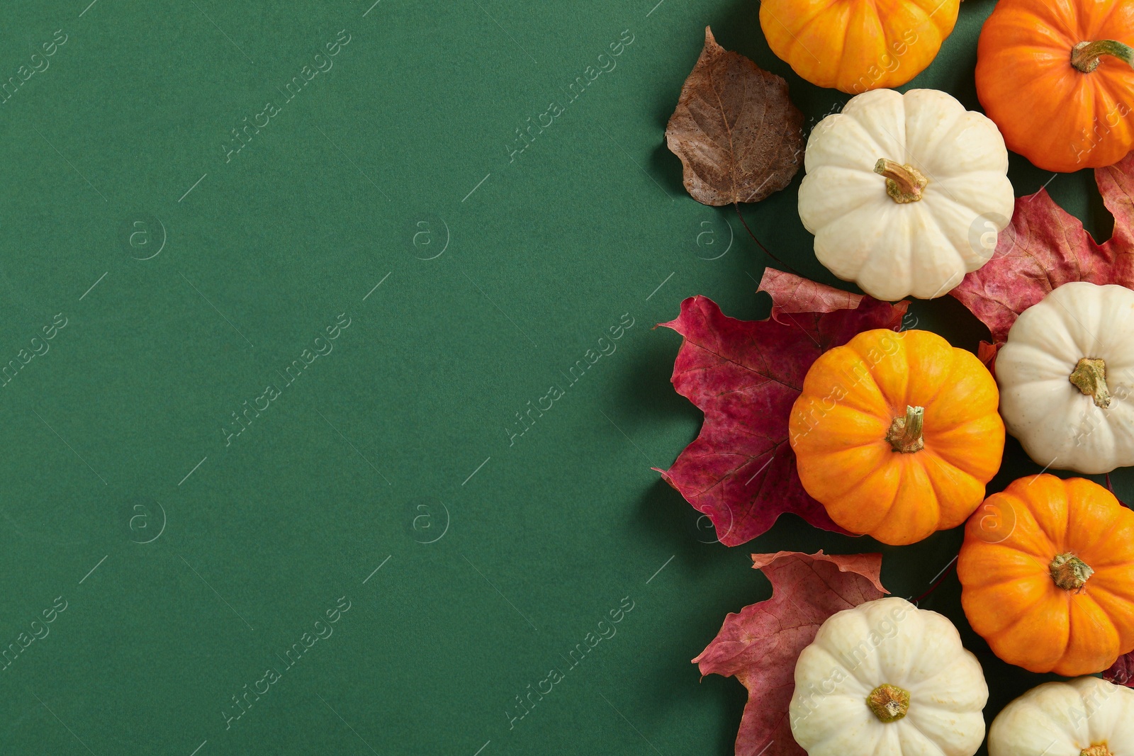 Photo of Happy Thanksgiving day. Flat lay composition with pumpkins on green background, space for text