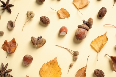 Beautiful composition with autumn leaves on beige background, flat lay