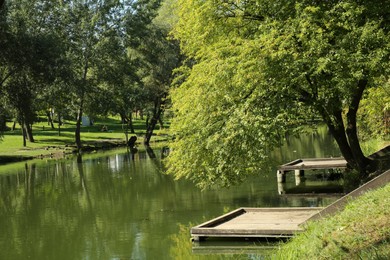 Photo of Quiet park with green trees and pond on sunny day