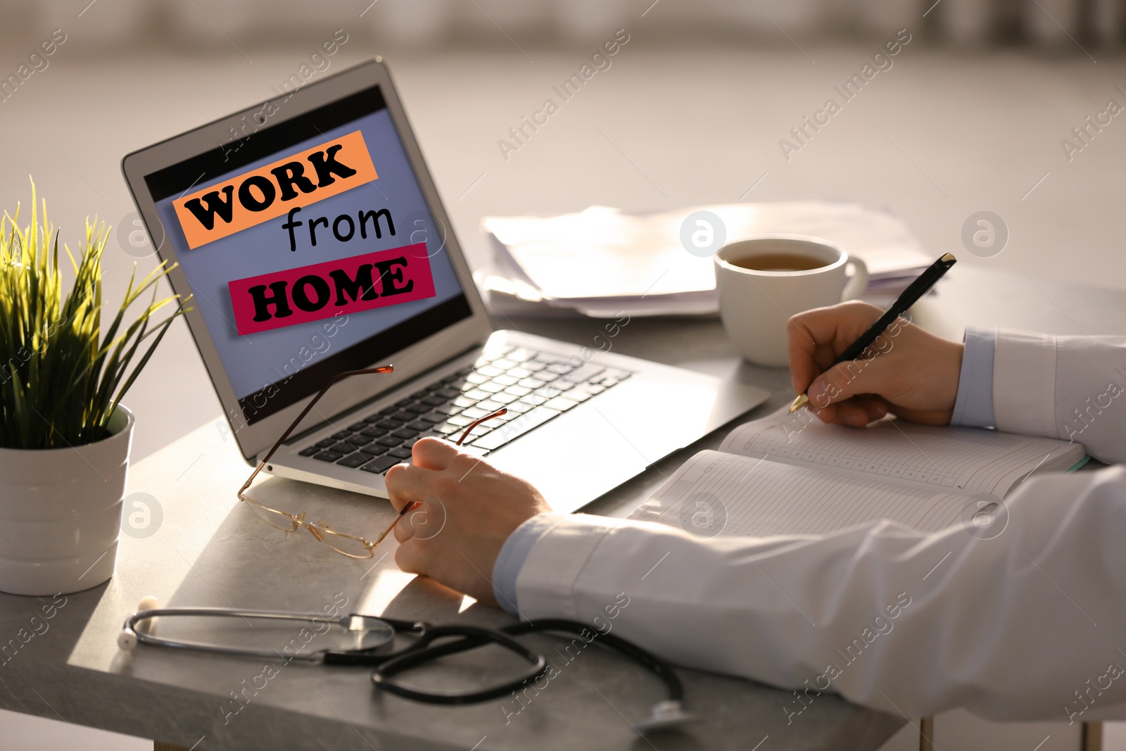 Image of Doctor with laptop in room, closeup. Work from home