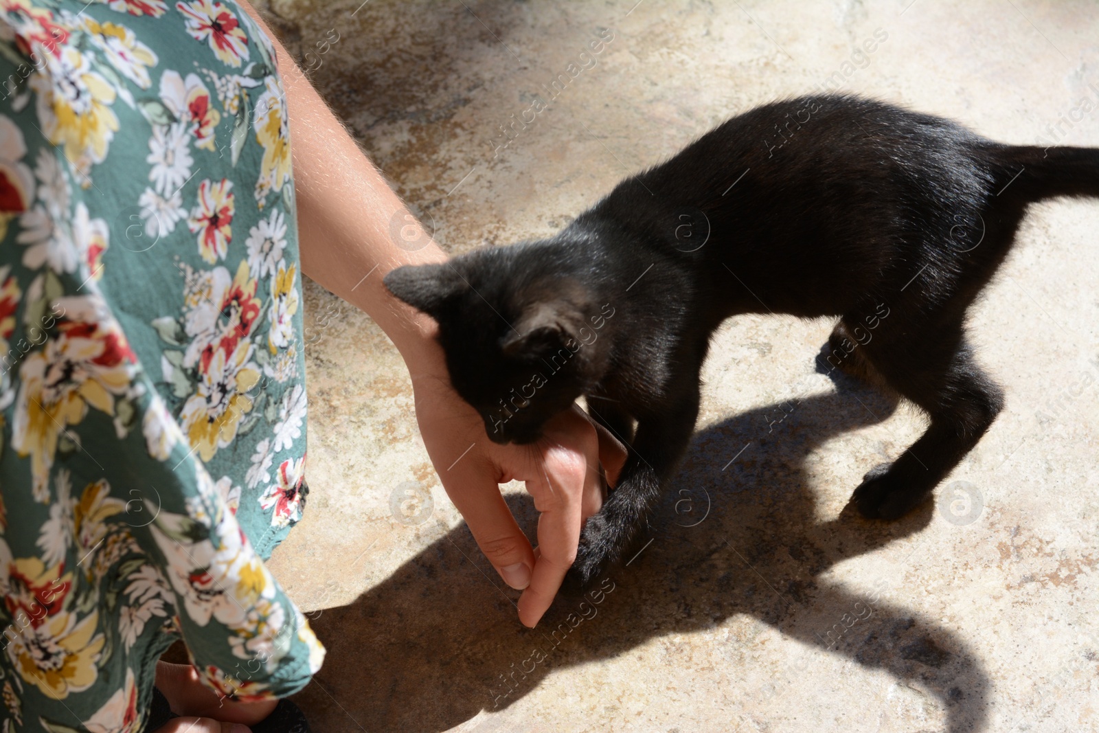 Photo of Woman playing with black kitten outdoors, closeup