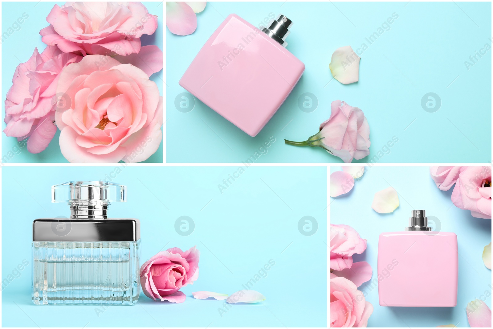 Image of Creative collage with photos of luxury perfume and beautiful flowers on color backgrounds 