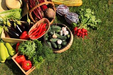 Different fresh ripe vegetables on green grass, flat lay