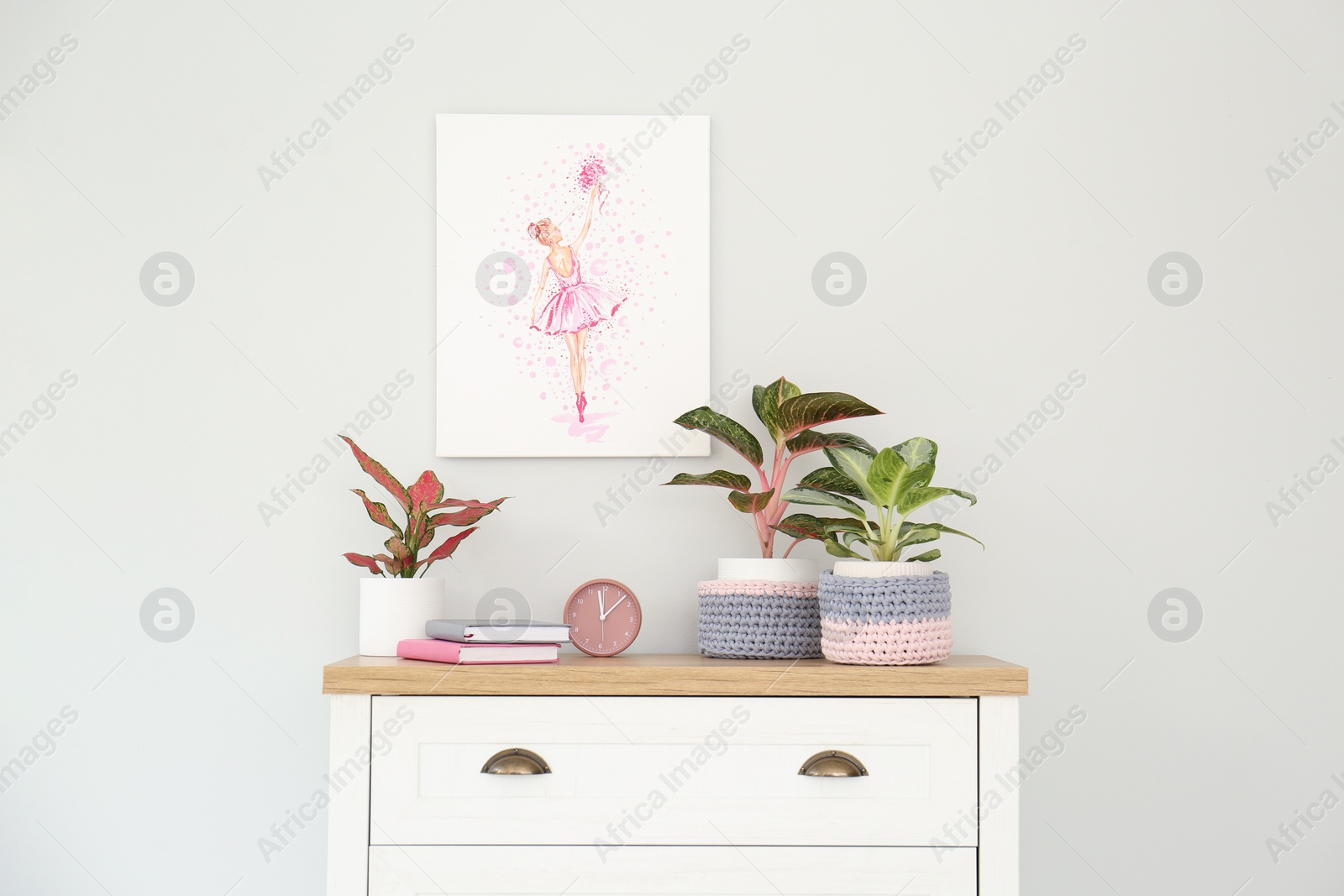 Photo of Different houseplants on chest of drawers near light wall