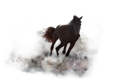 Image of Beautiful horse kicking up dust while running on white background