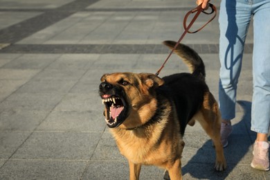 Photo of Woman with her aggressive dog outdoors, closeup