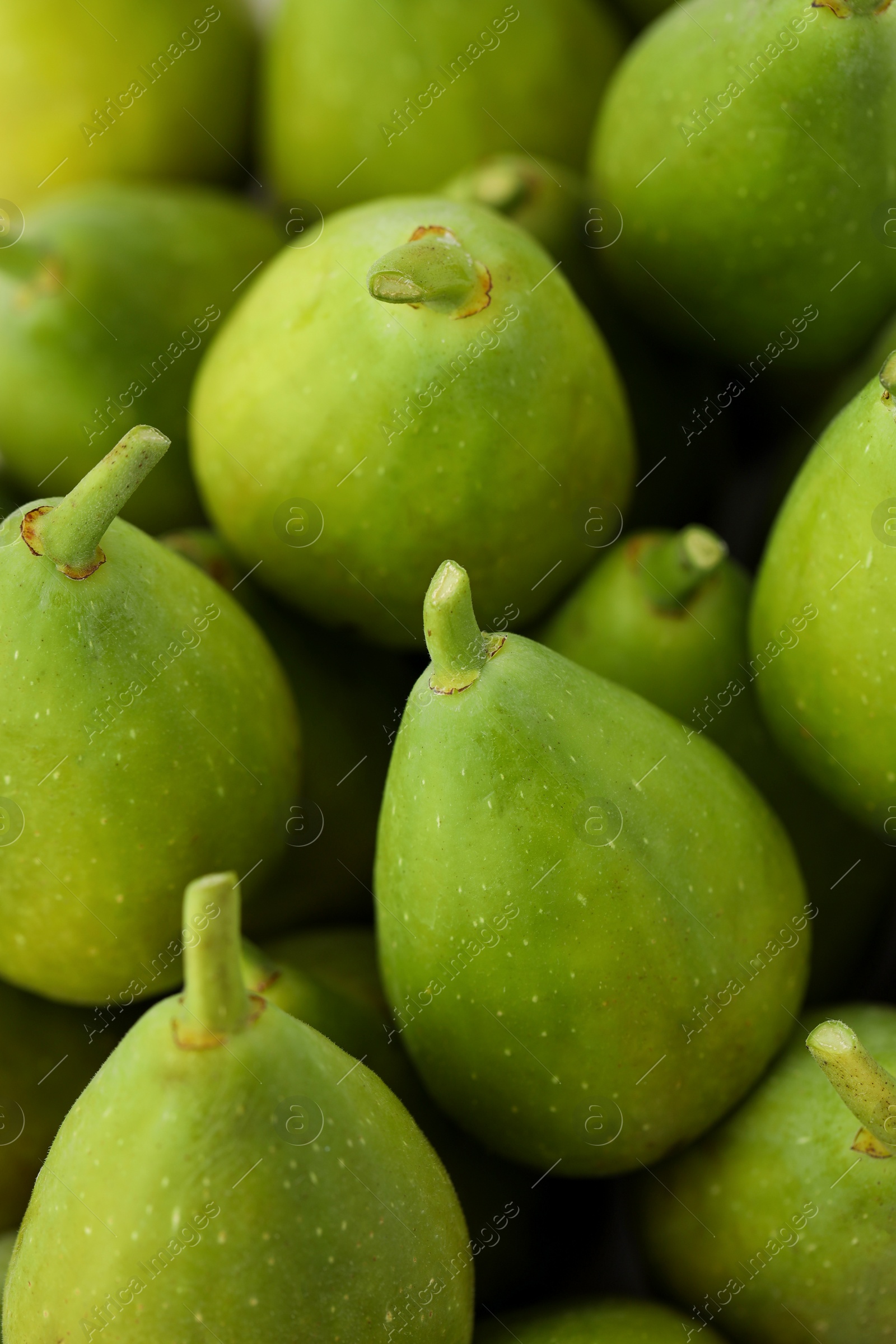 Photo of Many fresh green figs as background, closeup