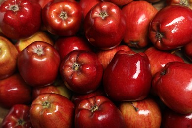 Photo of Fresh ripe red apples as background, top view