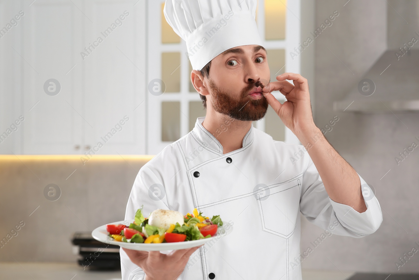 Photo of Professional chef presenting delicious salad in kitchen