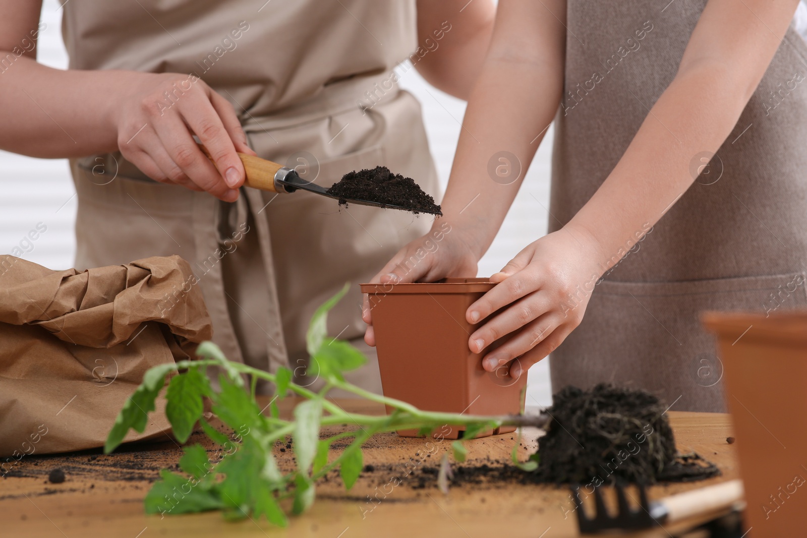 Photo of Mother and daughter planting seedling in pot together at wooden table, closeup