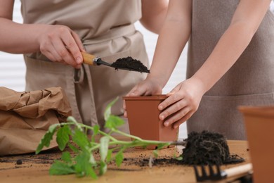 Mother and daughter planting seedling in pot together at wooden table, closeup