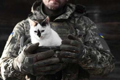 Photo of Ukrainian soldier rescuing animal. Little stray cat sitting in helmet, closeup