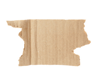 Piece of torn cardboard isolated on white