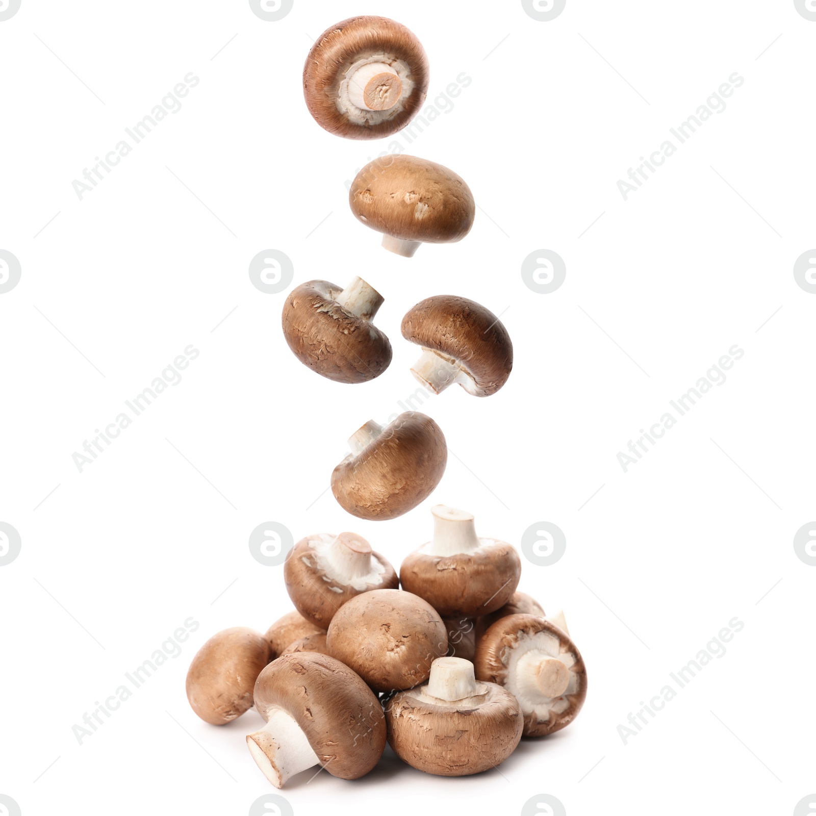 Image of  Set with fresh champignon mushrooms falling on white background