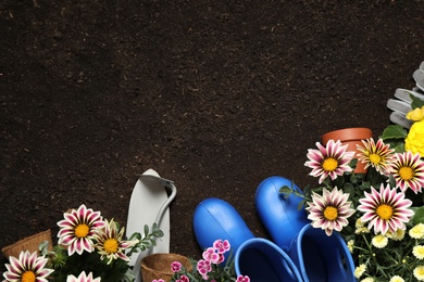 Flat lay composition with gardening tools and flowers on soil, space for text