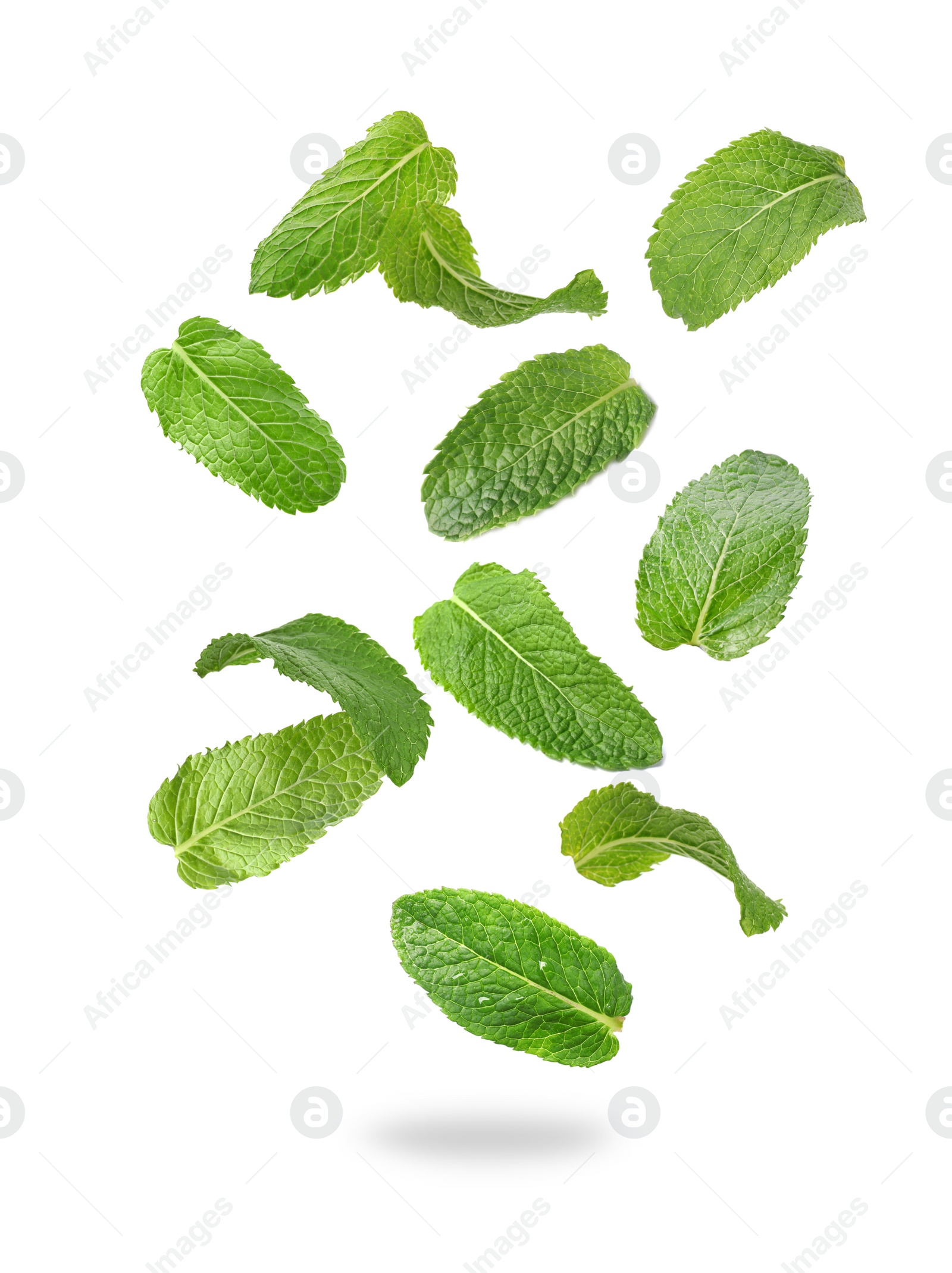 Image of Set of flying green mint leaves on white background