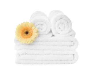 Photo of Fresh clean towels with gerbera on white background