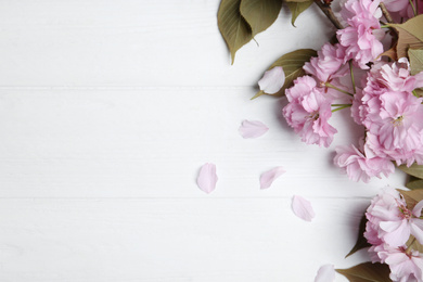 Photo of Sakura tree branch with beautiful blossom on white wooden background, space for text. Japanese cherry