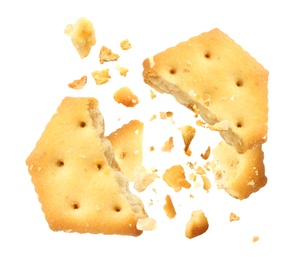 Image of Crushed cracker and crumbs on white background