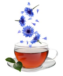 Image of Beautiful tender blue cornflower petals falling into cup of tea on white background