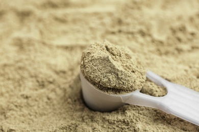 Measuring spoon and hemp protein powder, closeup. Superfood