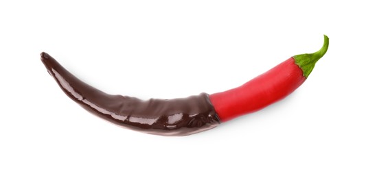Red hot chili pepper in chocolate isolated on white, top view