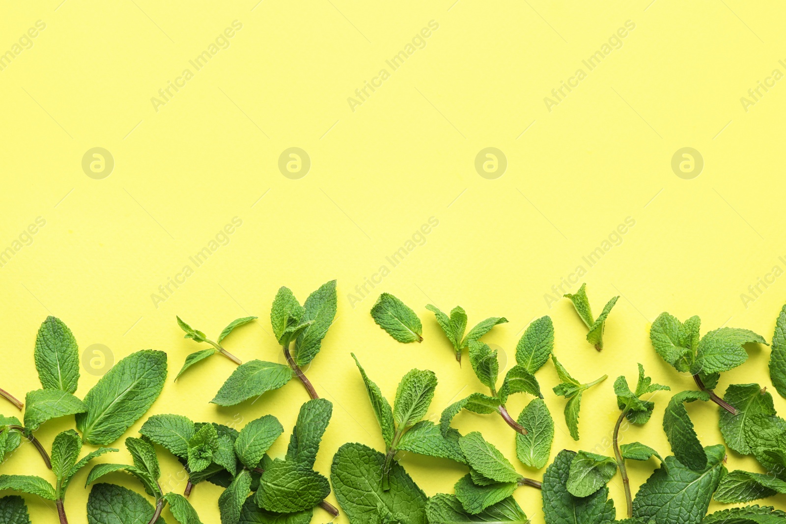 Photo of Fresh green mint leaves on yellow background, flat lay. Space for text