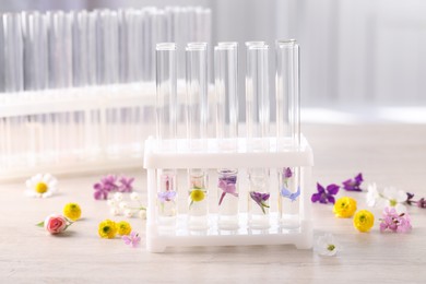 Photo of Test tubes with different flowers on white wooden table. Essential oil extraction