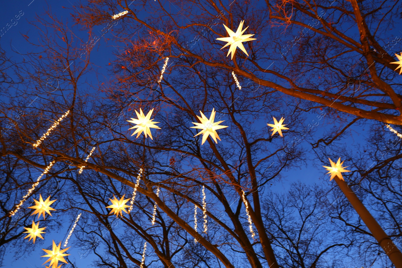 Photo of Trees decorated with beautiful Christmas lights outdoors in evening, low angle view